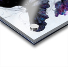 ButterflyEffect01 WB Acrylic print